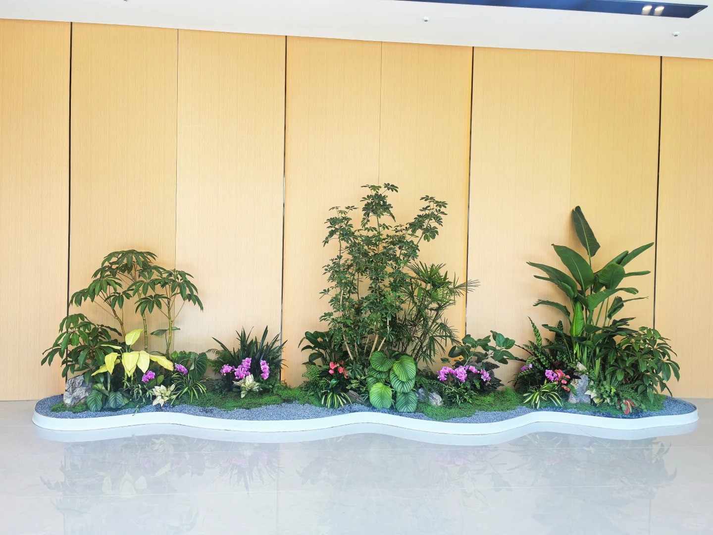 余姚专业植物租赁，装点多彩生活空间